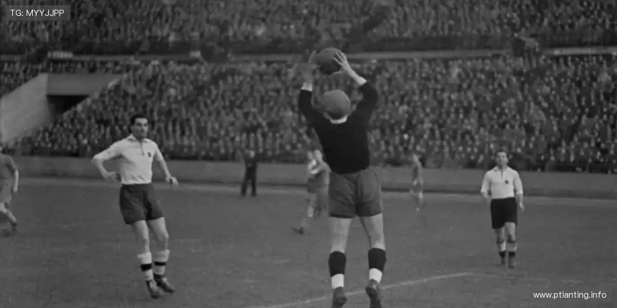 🎯冠军装备，让热爱触手可及！🏆🎁